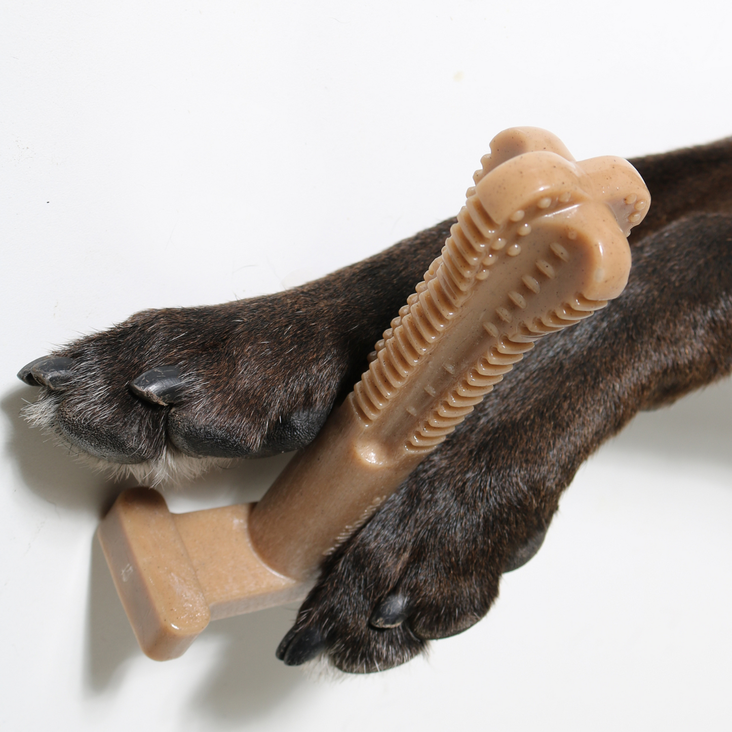 Bones for extreme chewers
