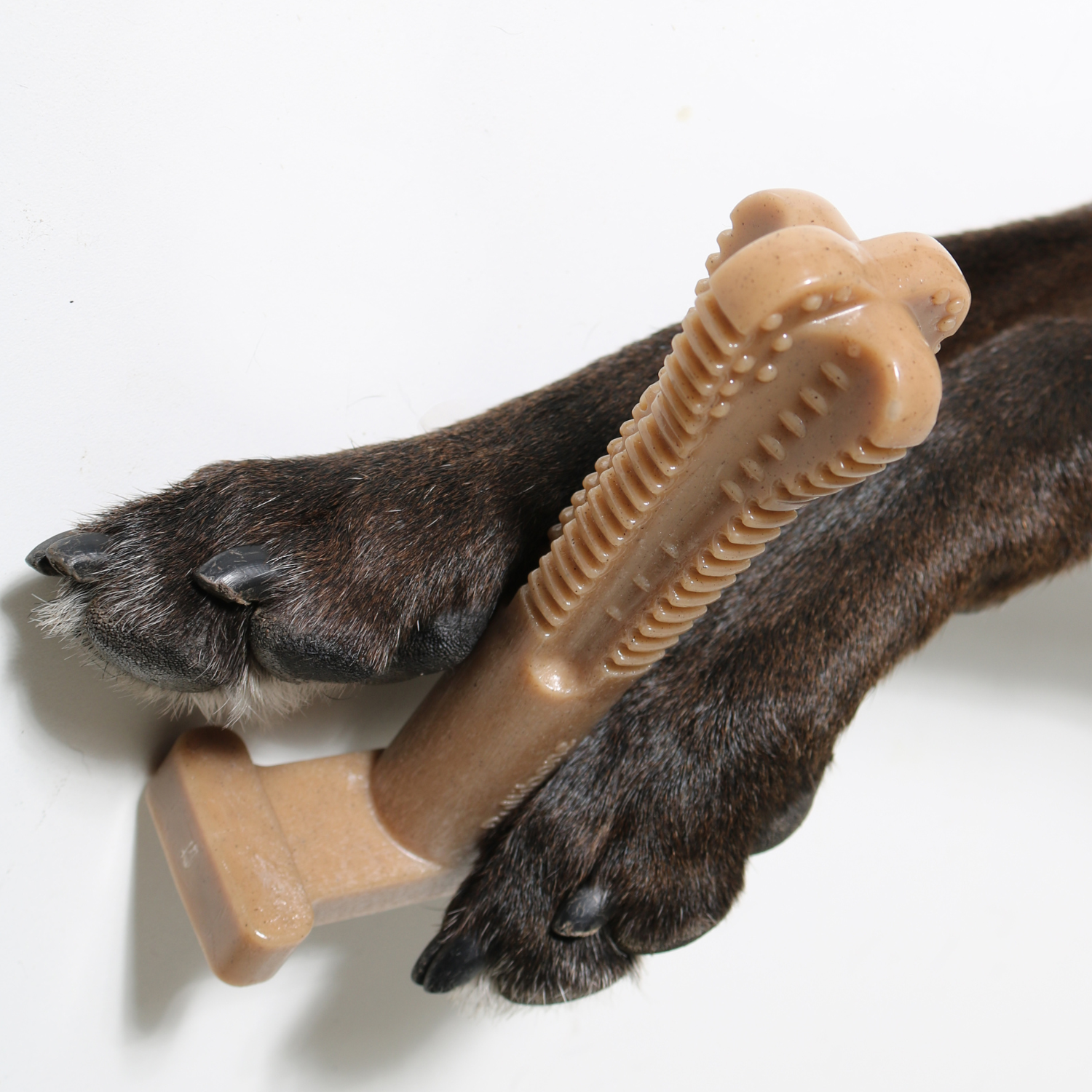 Bones for extreme chewers