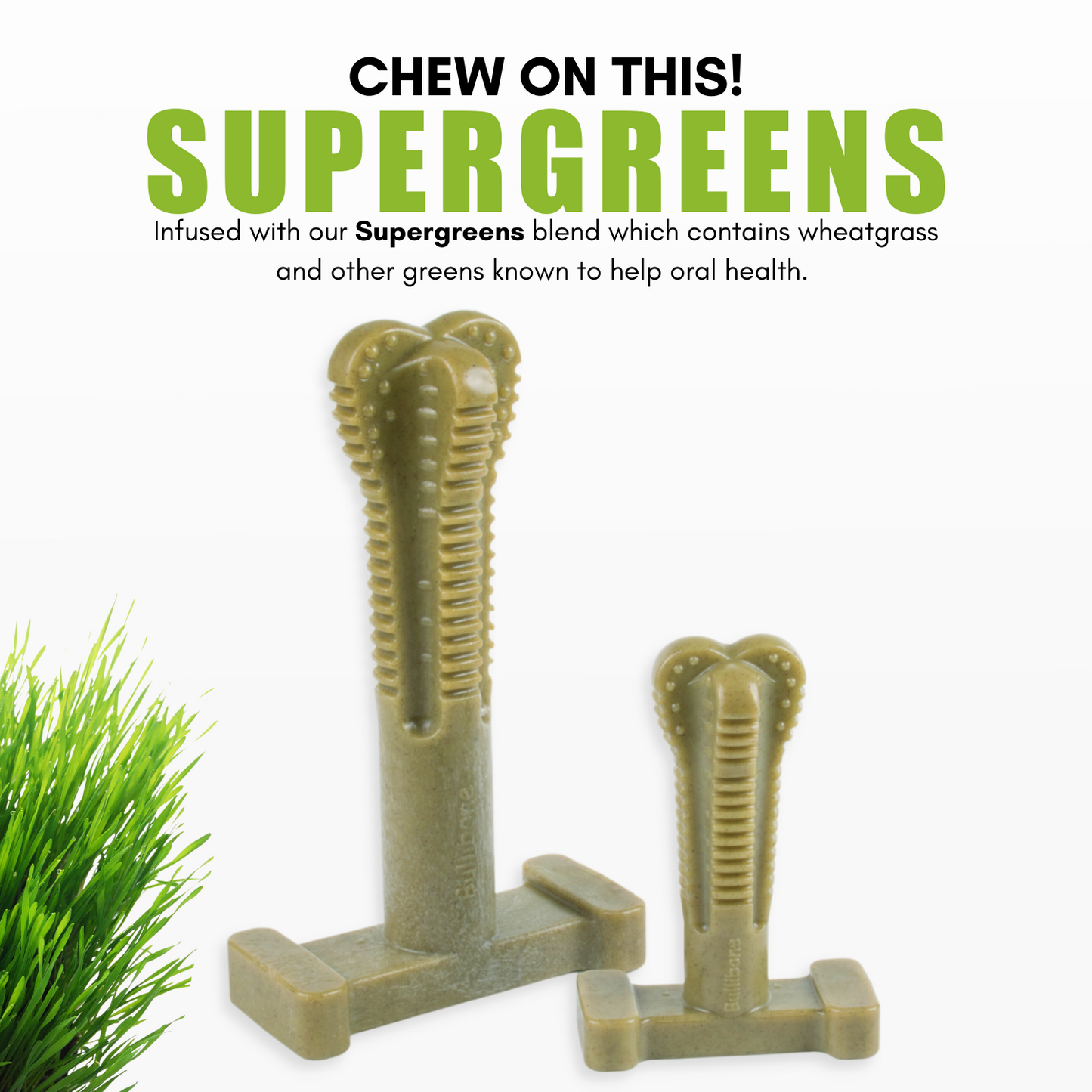 brush bone for dogs