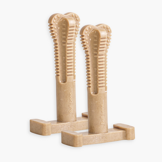 dog toy that cleans teeth