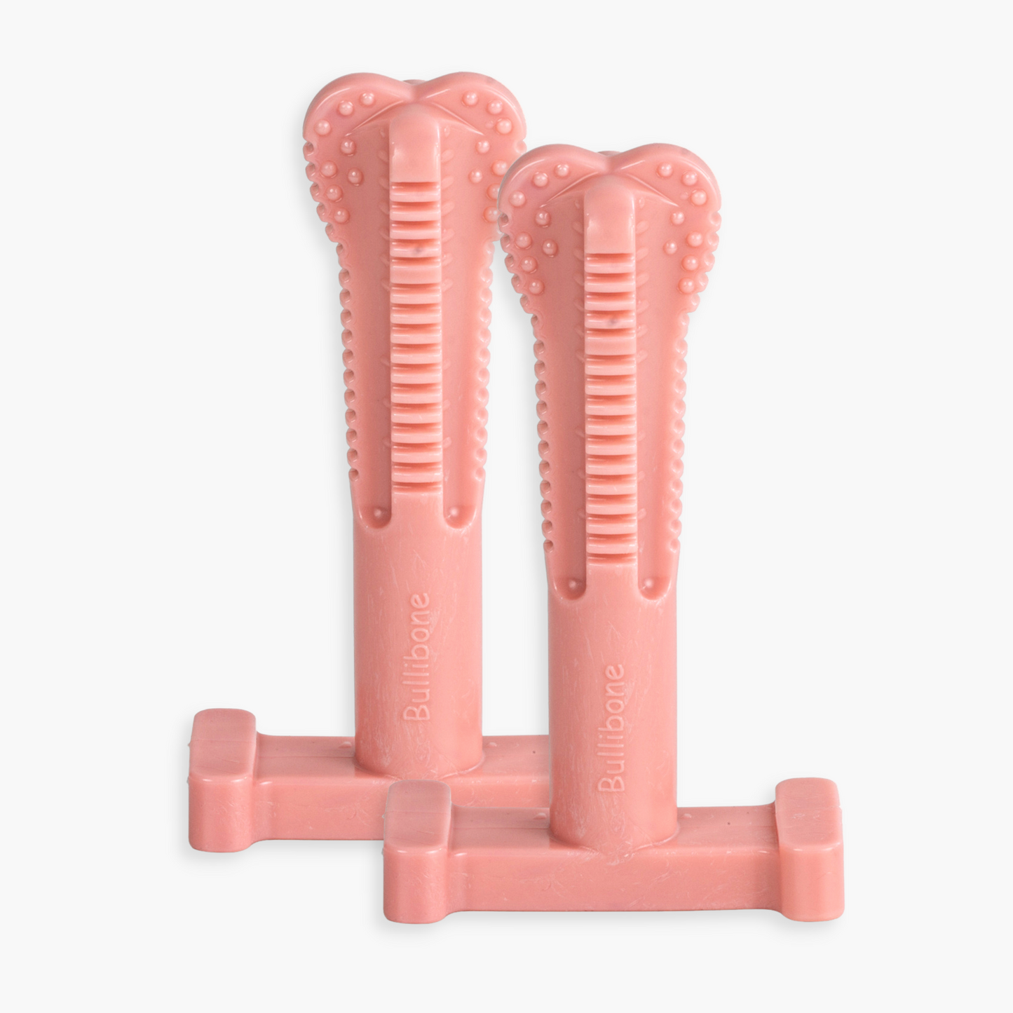 dog toothbrush toy