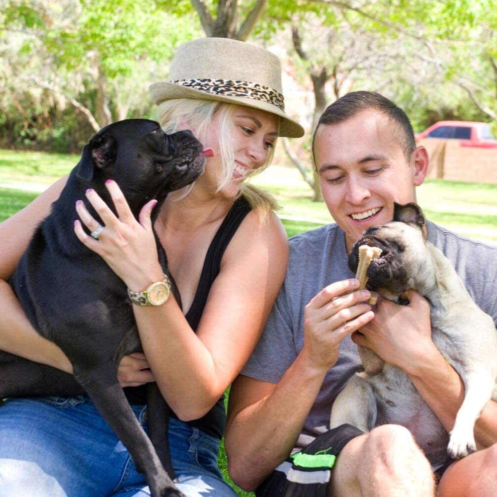 rawhide free dog chews