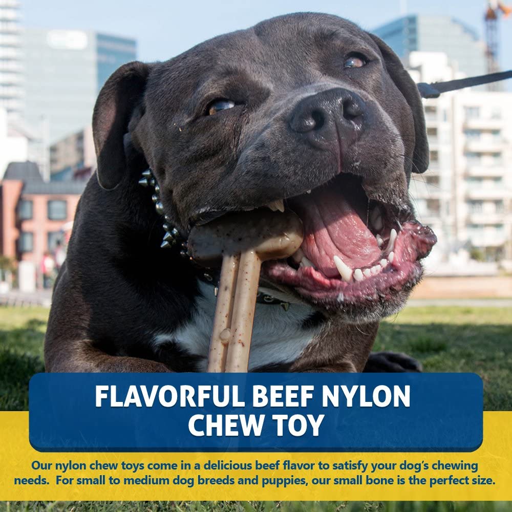 nylon dog toy