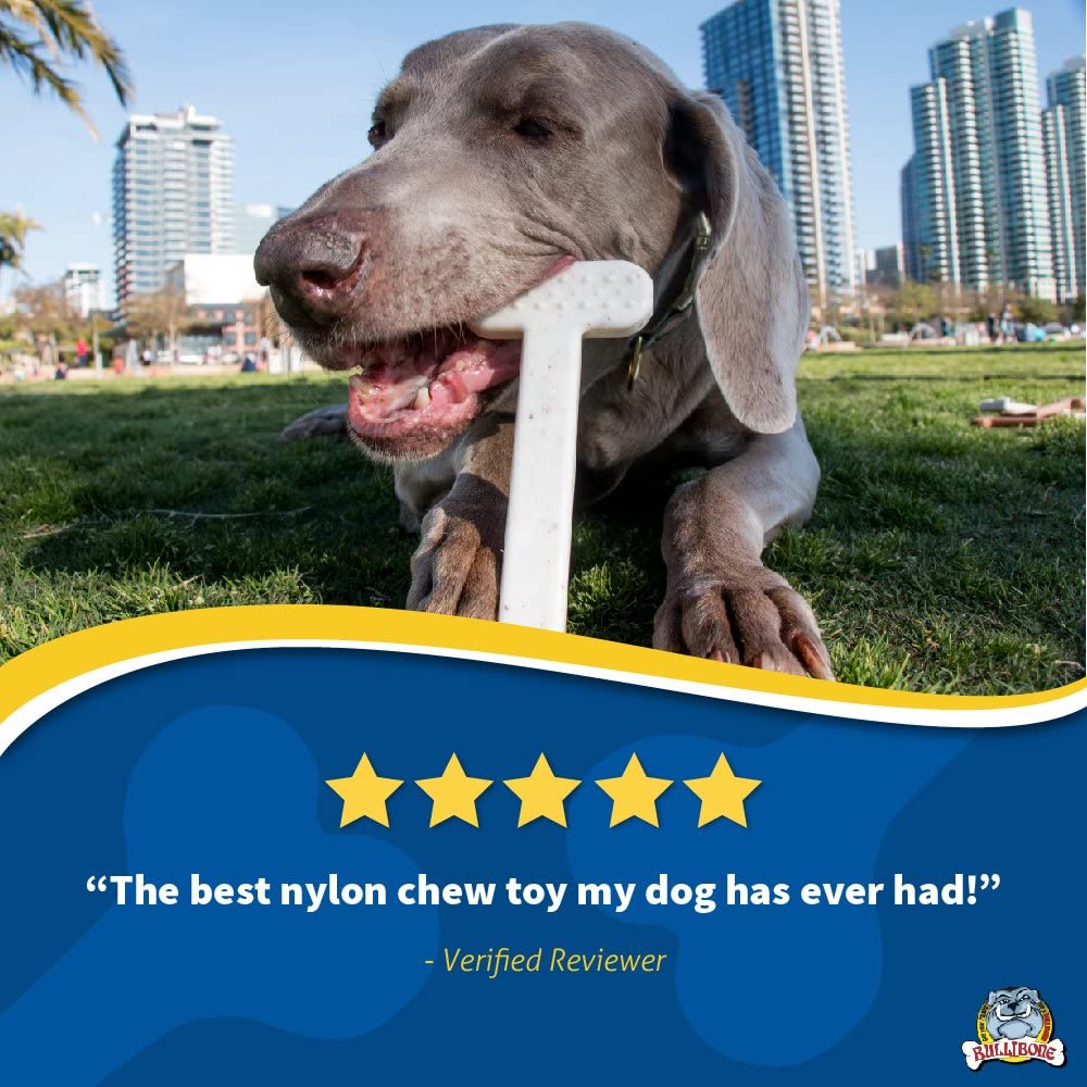 nylon dog toy
