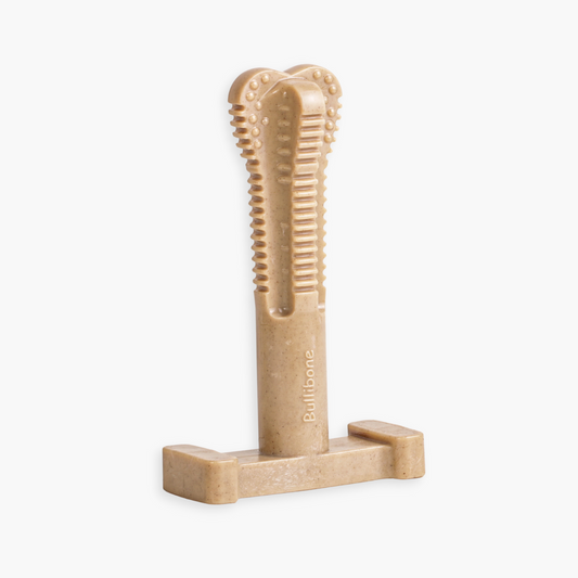 Dog bone toothbrush