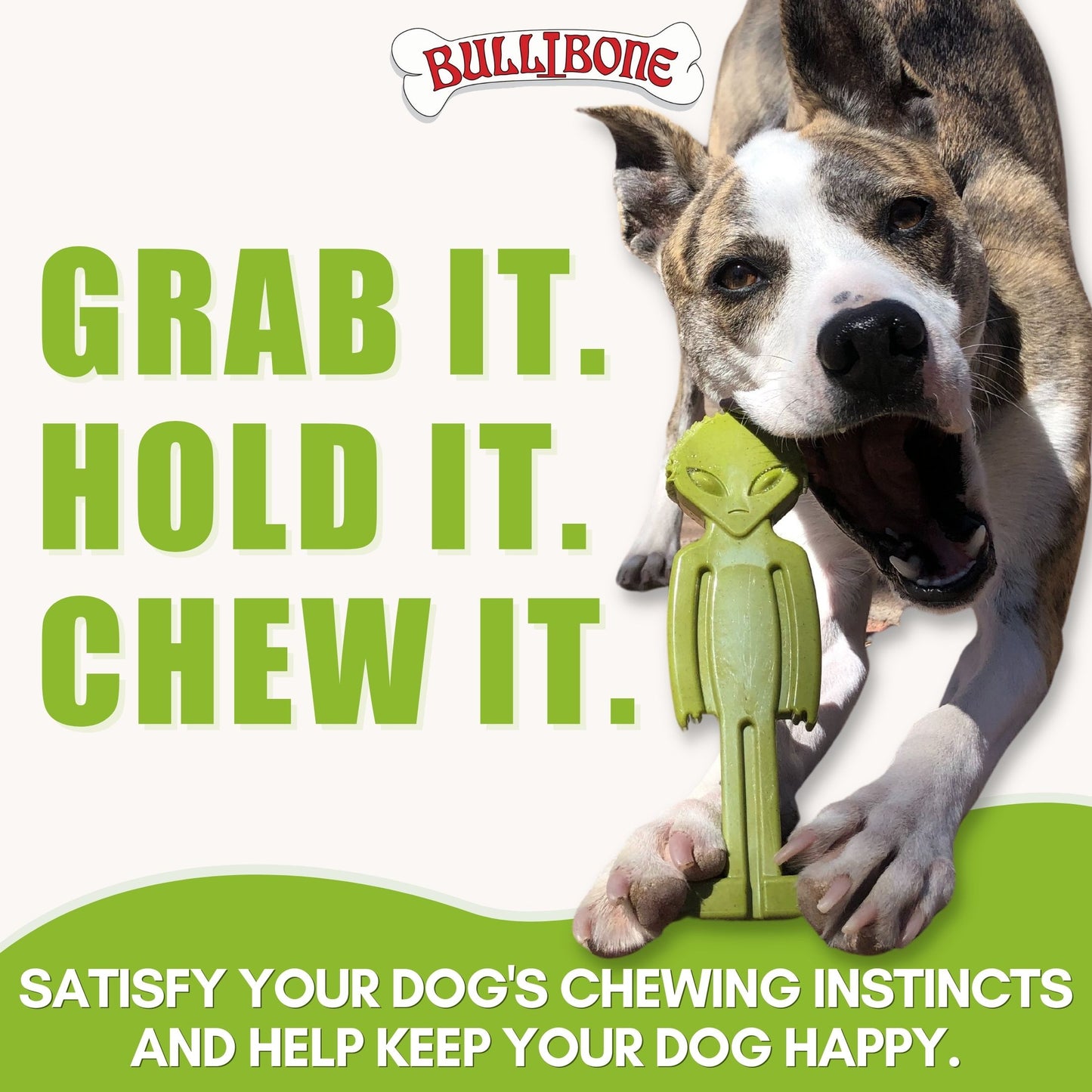 green dog bone