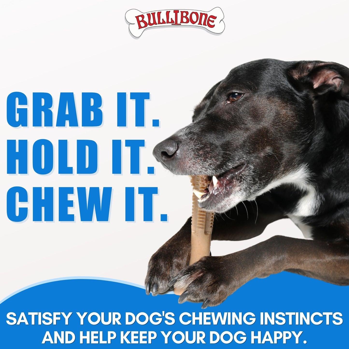 Large Dog 3 Pack Bundle