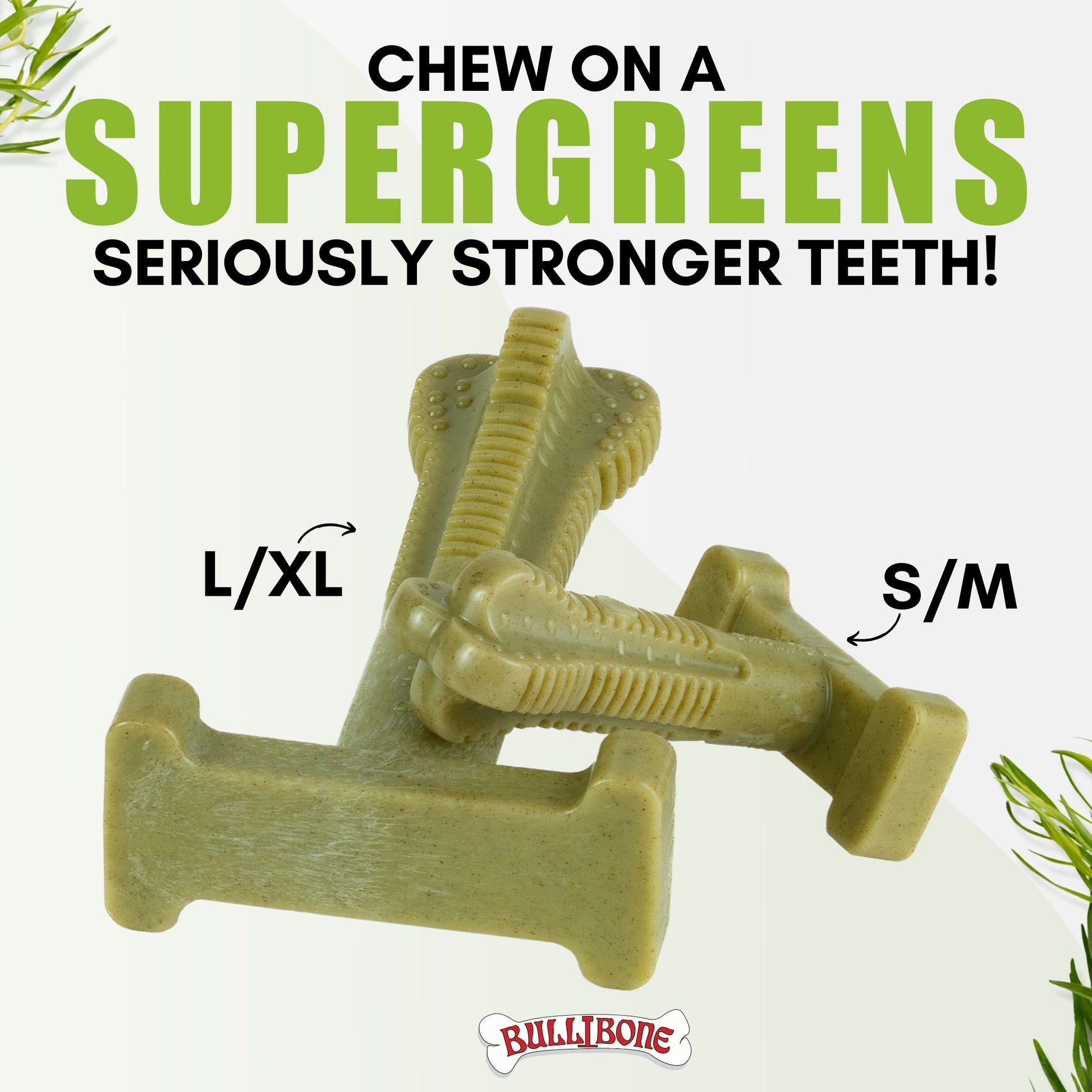 brush bone for dogs