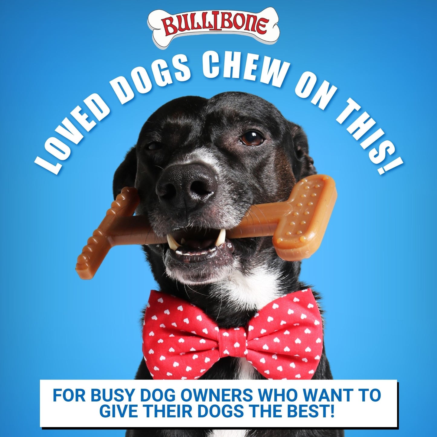 Large Dog 3 Pack Bundle