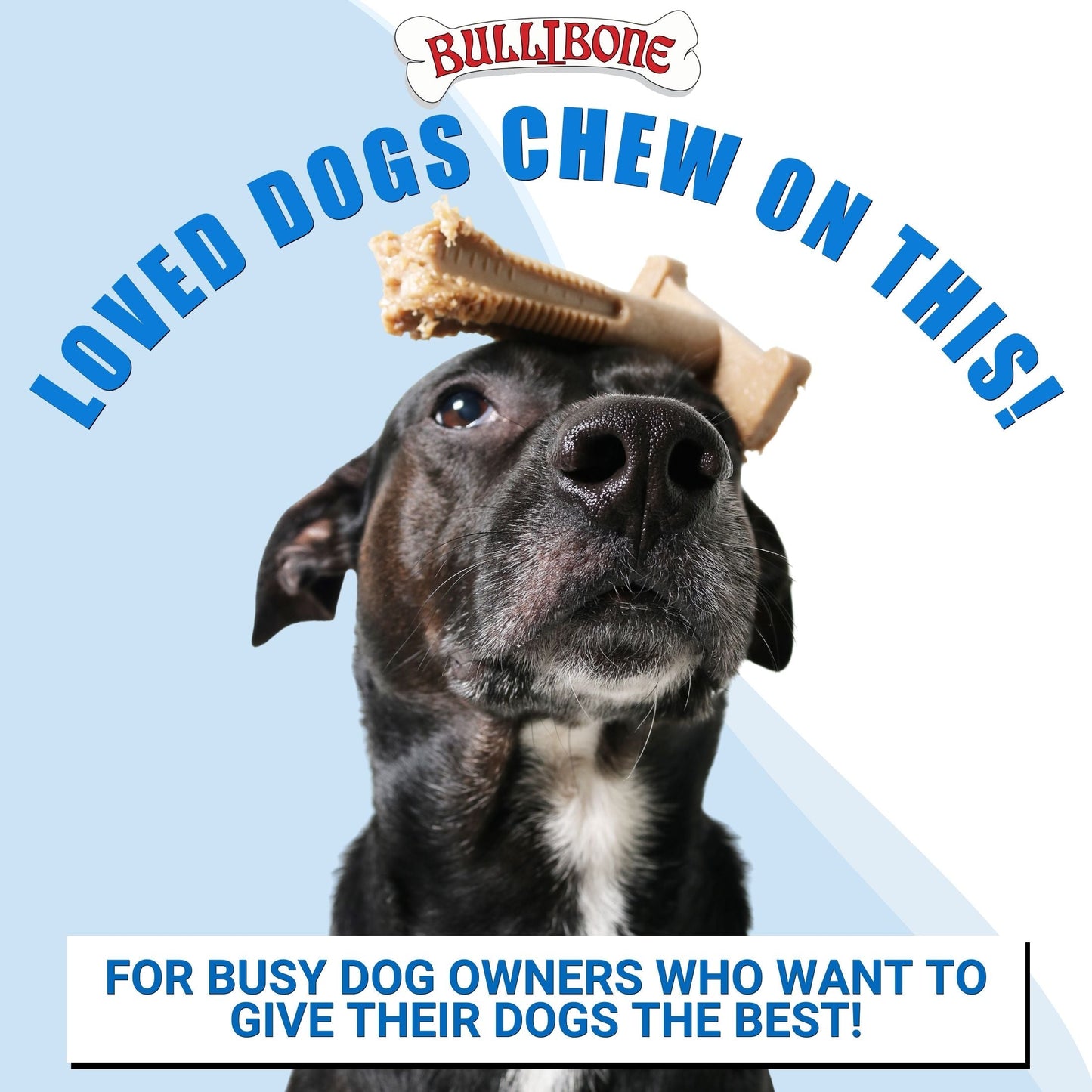 Large Dog 3 Pack Bundle