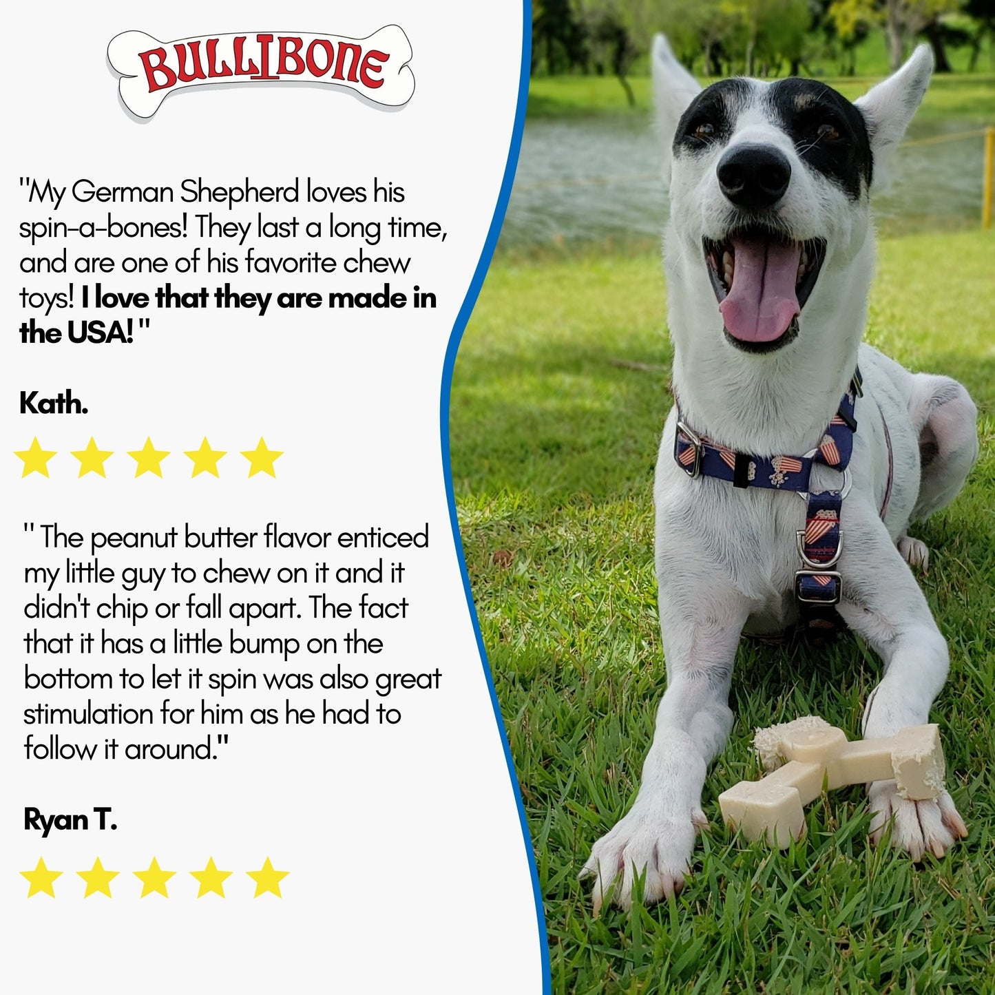 self entertaining dog toys