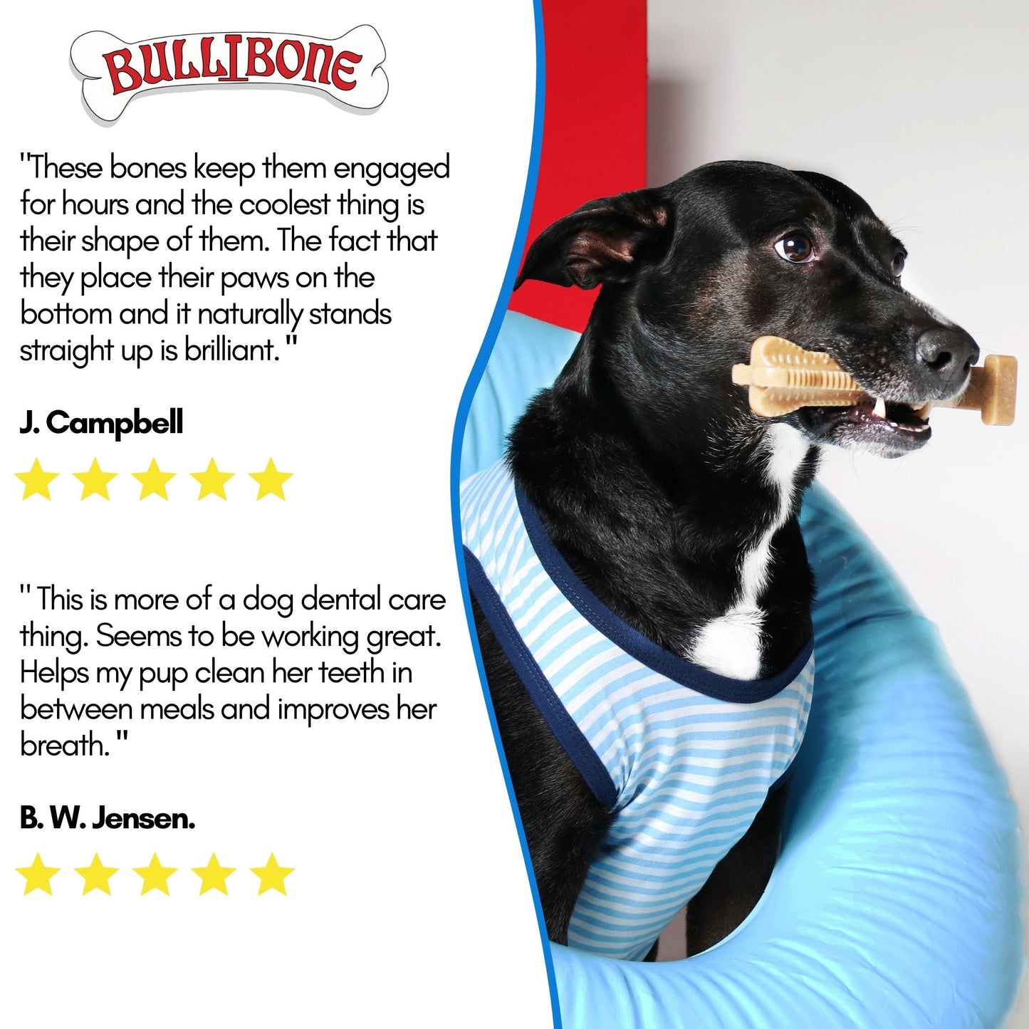 Large Dog 3 Pack Bundle