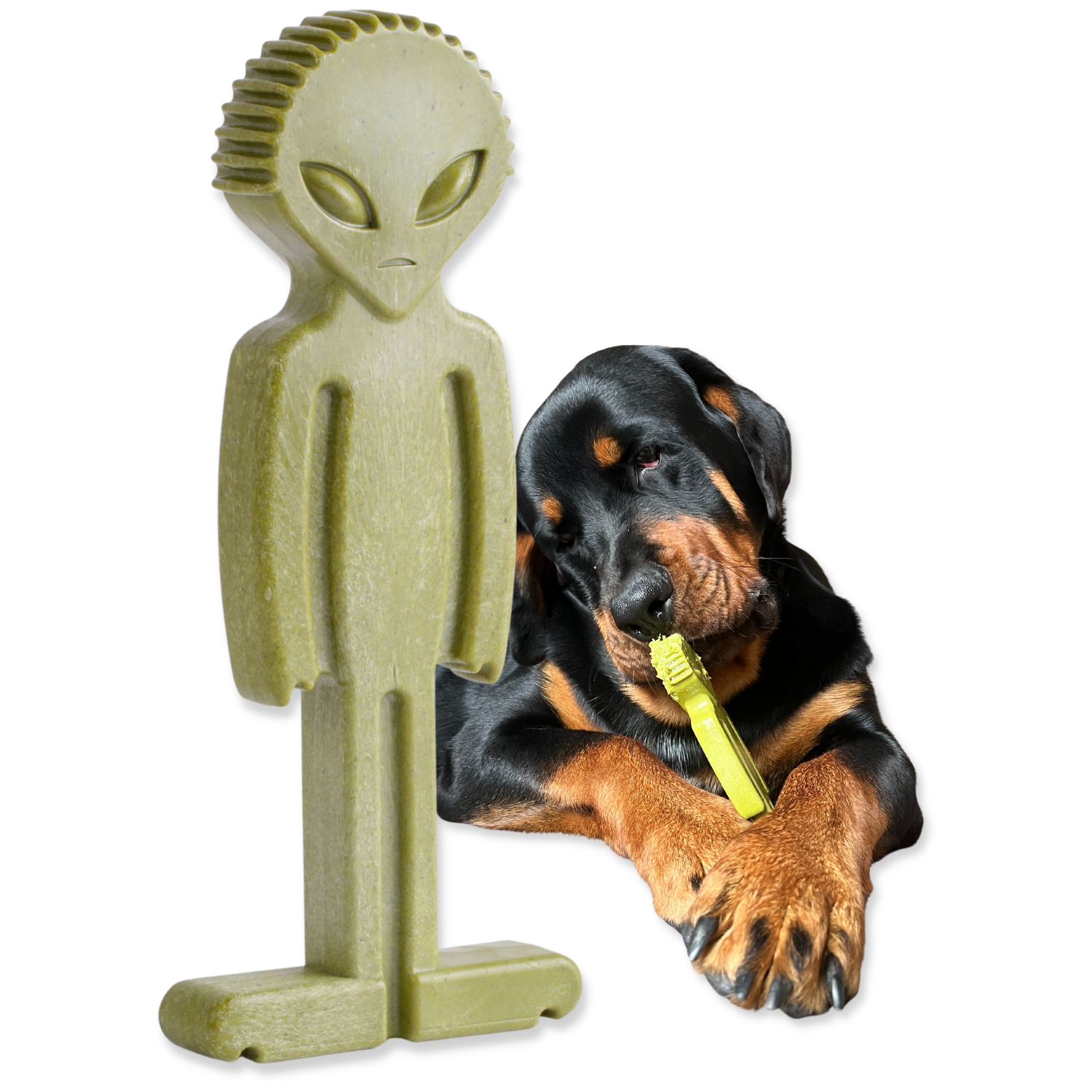 Alien dog bone