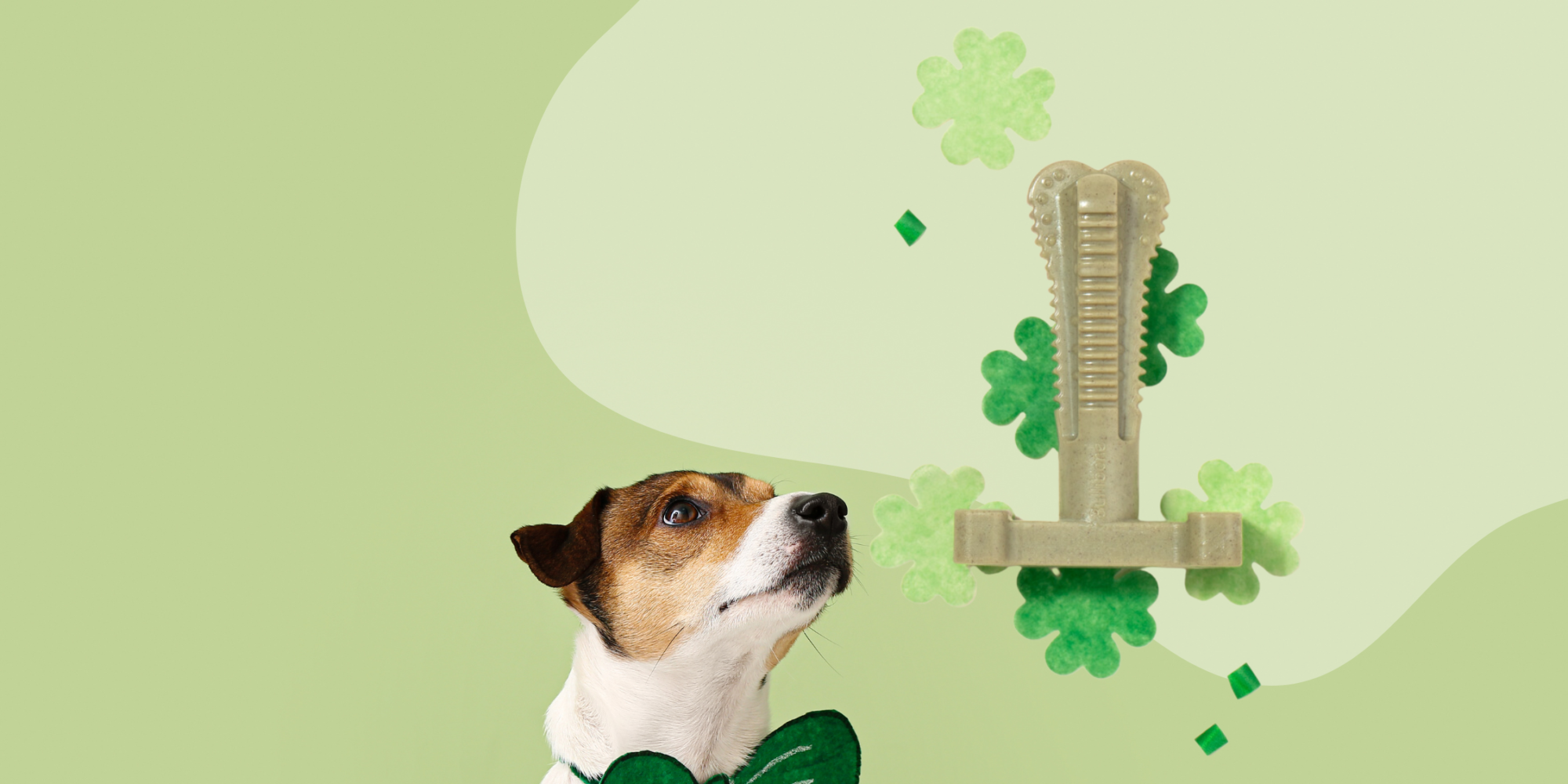 Celebrate St. Patrick's Day with SuperGreens Bullibones: The Ultimate Dental Chew for Your Dog